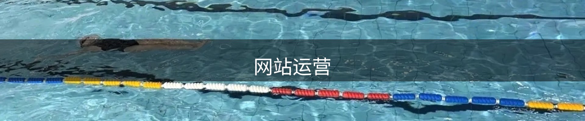 网站运营
